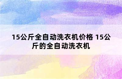 15公斤全自动洗衣机价格 15公斤的全自动洗衣机